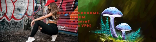 mdpv Белокуриха