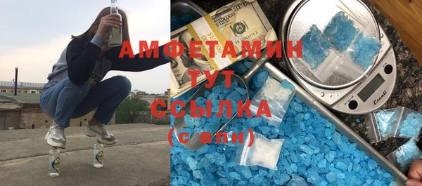 индика Богородицк