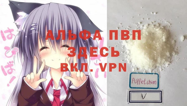 mdpv Белокуриха