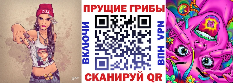 KRAKEN вход Кола Псилоцибиновые грибы ЛСД